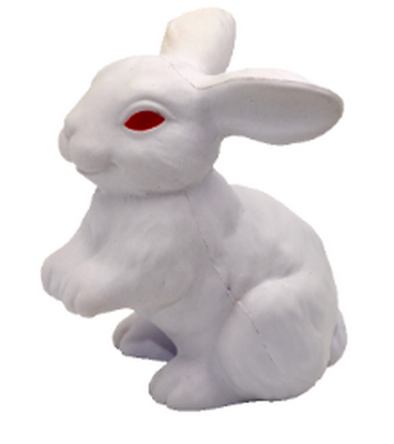  White Rabbit