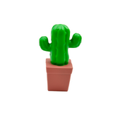  Cactus in Pot