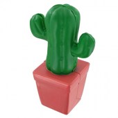  Cactus in Pot